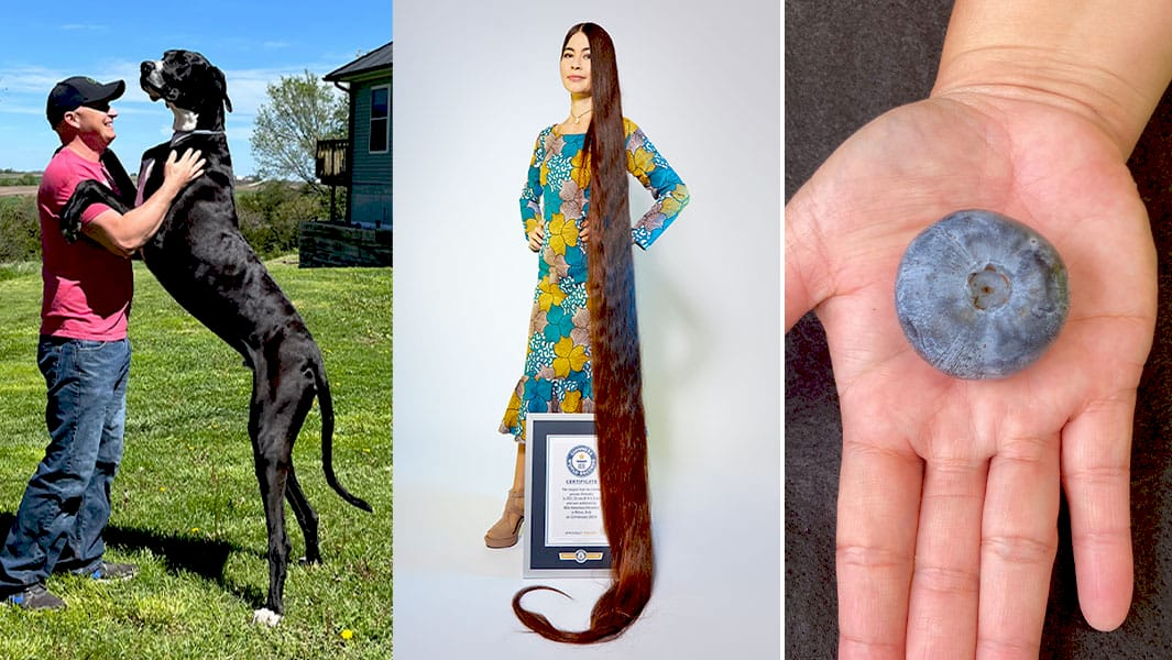 Найцікавіші світові рекорди 2024 року