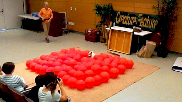 Твінкі, тер'єр Джек Рассел, лопає кулі